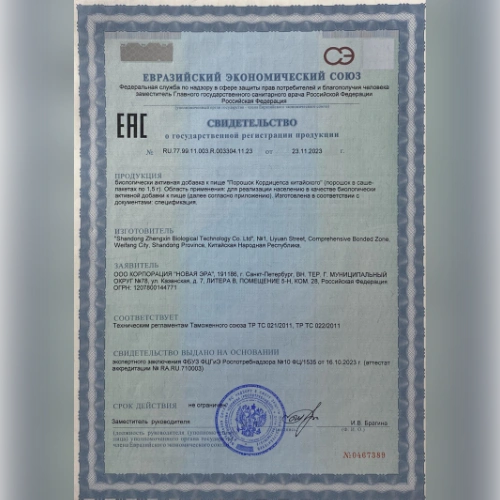 Сертификат 1